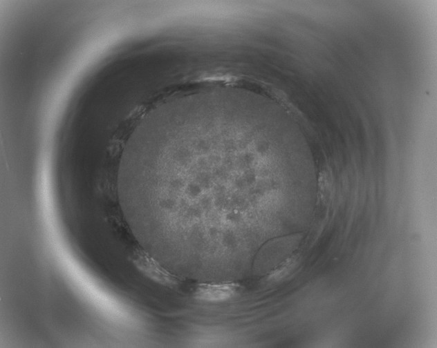 X0000054370671200508051556