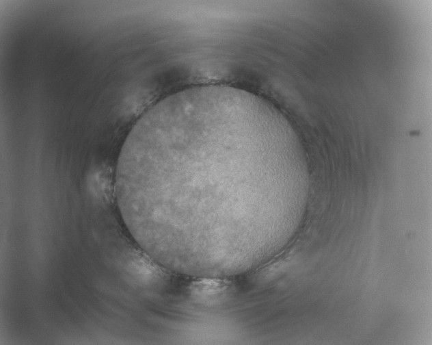 X0000054370672200508051556