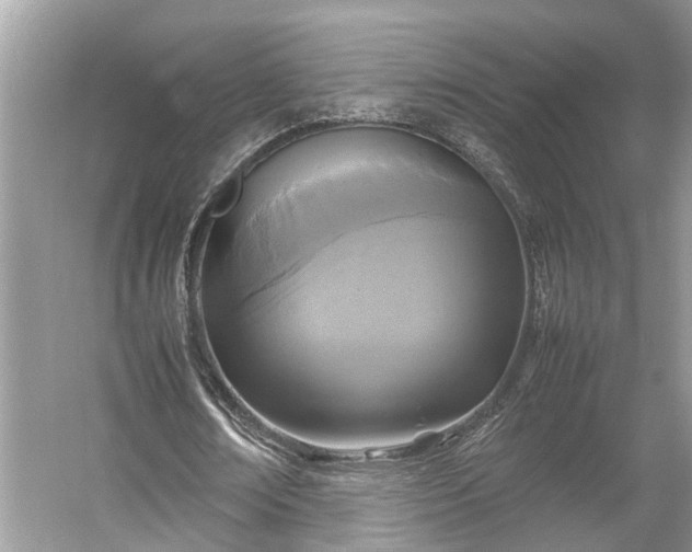 X0000054370674200508051556