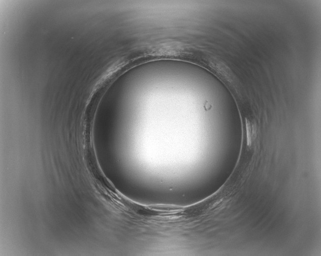 X0000054370675200508051556