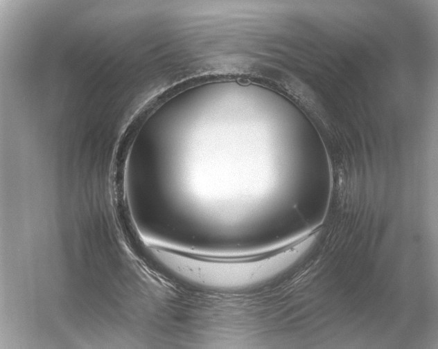 X0000054370676200508051556