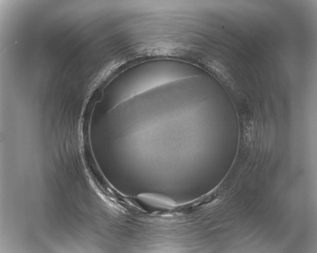 X0000054370678200508051556