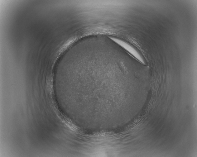 X0000054370679200508051556