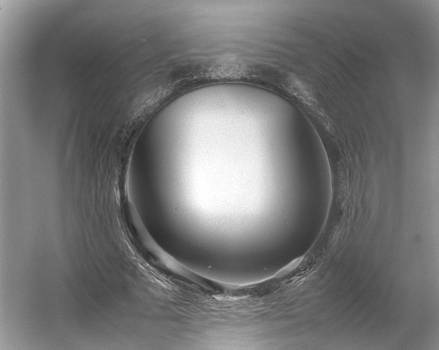 X0000054370681200508051556