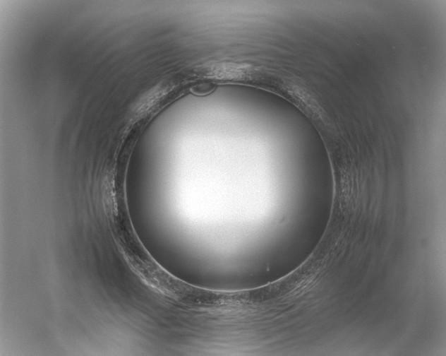 X0000054370682200508051556