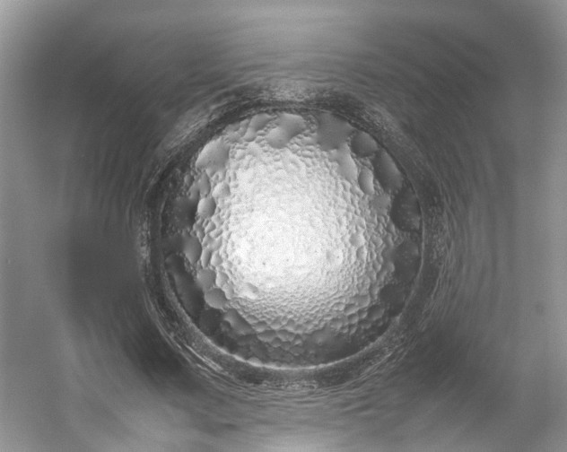 X0000054370683200508051555