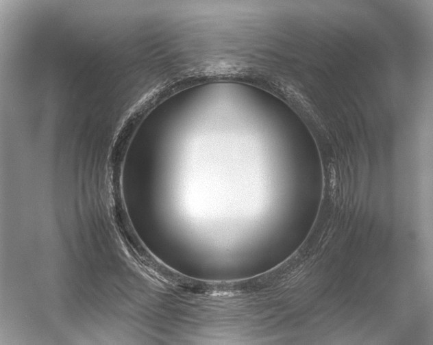 X0000054370684200508051555