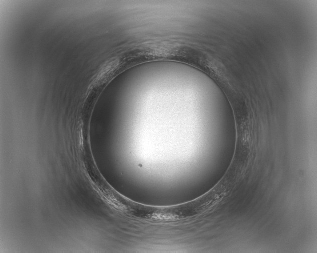 X0000054370685200508051555