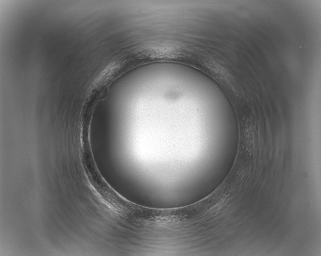 X0000054370686200508051555