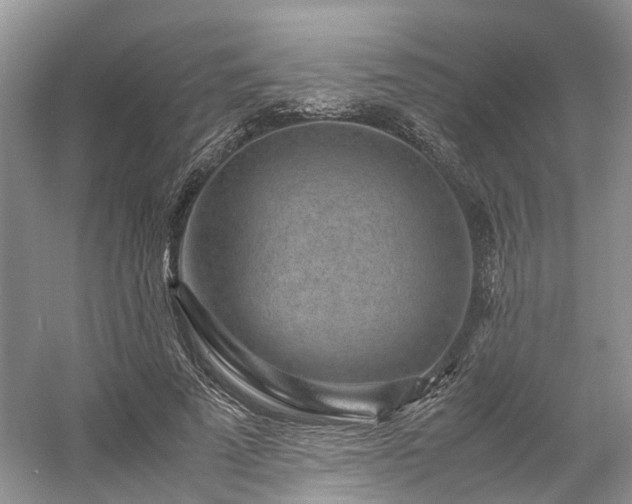 X0000054370689200508051555