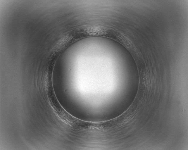 X0000054370690200508051555