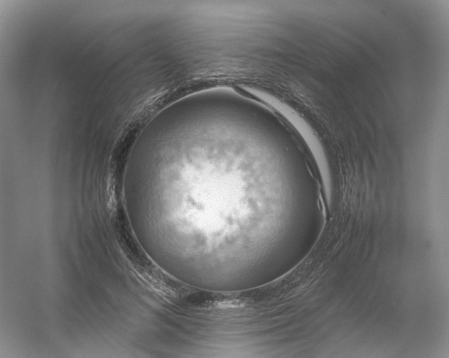 X0000054370692200508051555