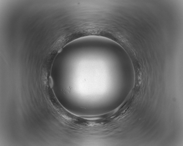 X0000054370693200508051555