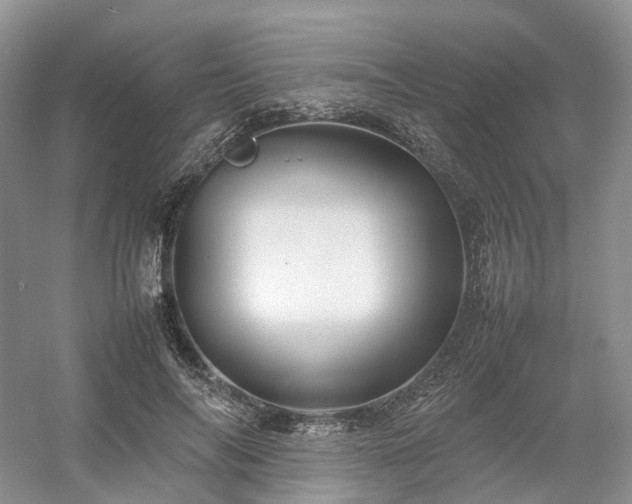 X0000054370694200508051555