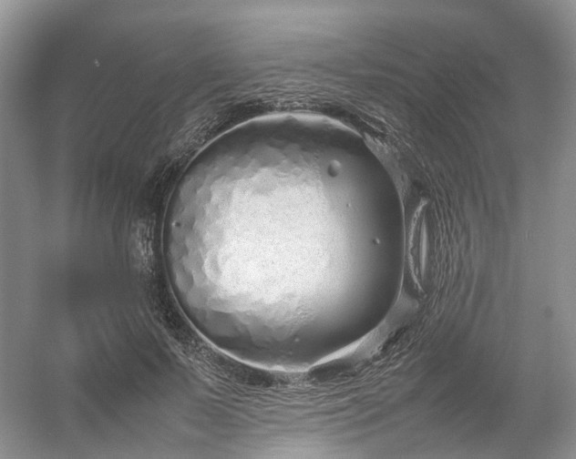 X0000054370695200508051555