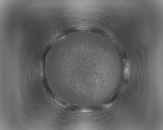 X0000054370696200508051555