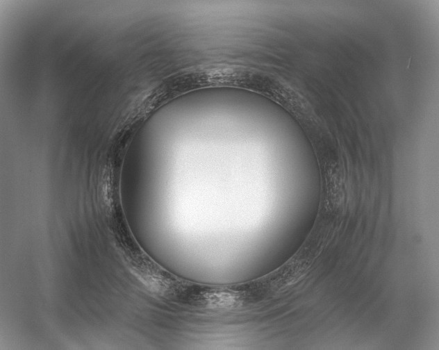 X0000054370698200508051555