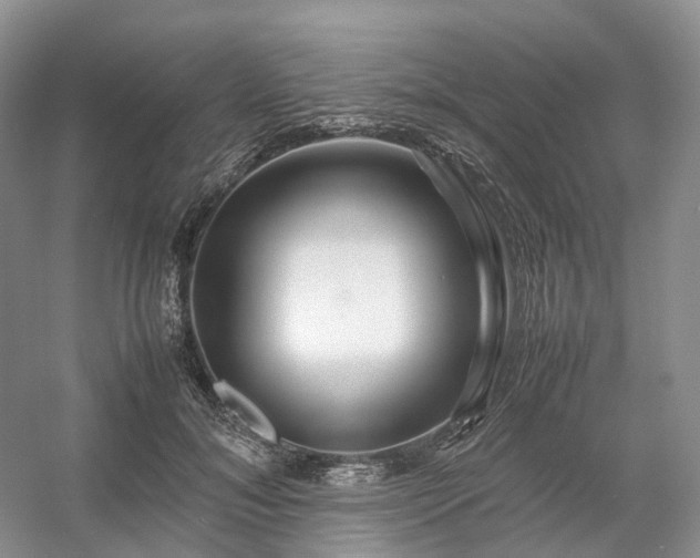 X0000054370700200508051555