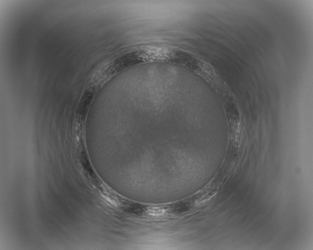 X0000054370701200508051555