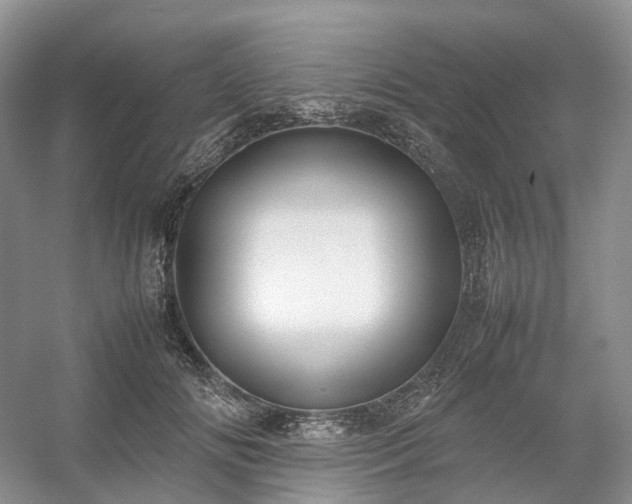 X0000054370702200508051555