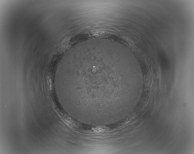 X0000054370703200508051555