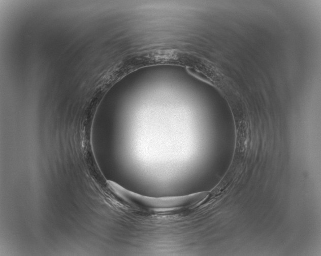 X0000054370704200508051555