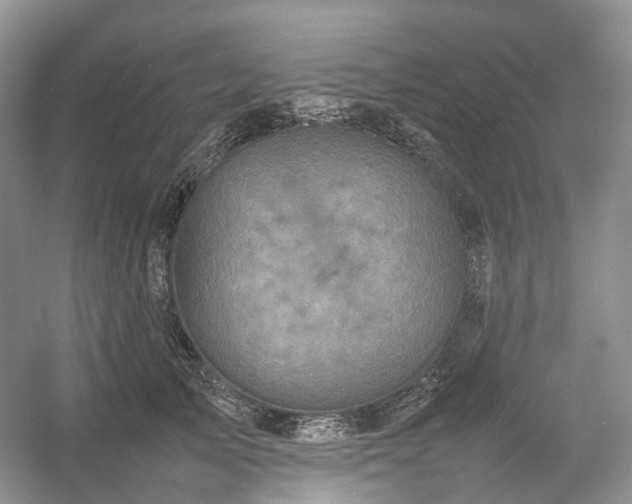 X0000054370705200508051555