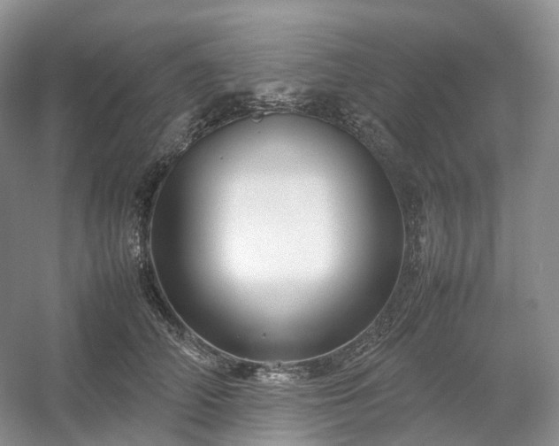 X0000054370706200508051555