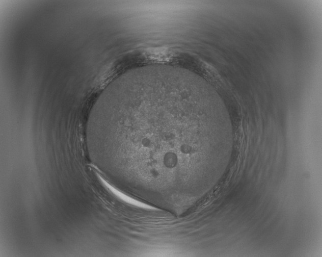 X0000054370707200508051555