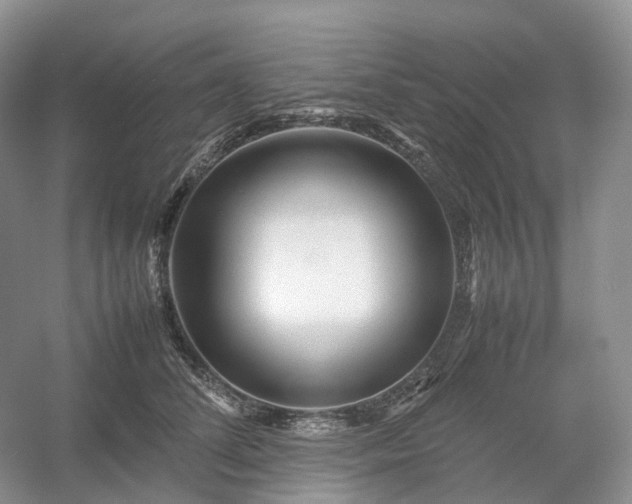 X0000054370708200508051555