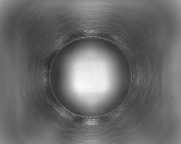 X0000054370710200508051555