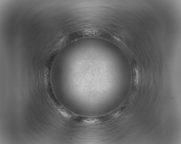 X0000054370712200508051555