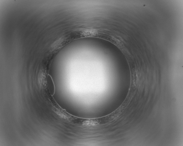 X0000054370714200508051555