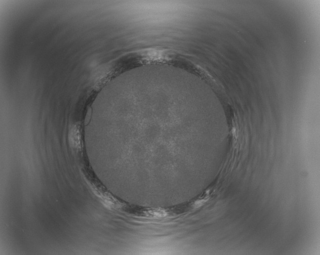 X0000054370715200508051555