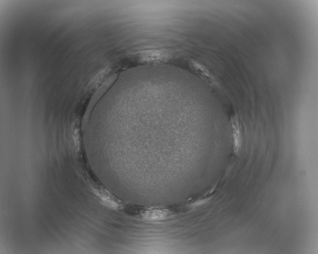 X0000054370716200508051555