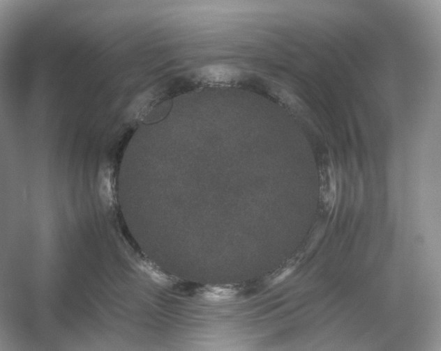 X0000054370718200508051555