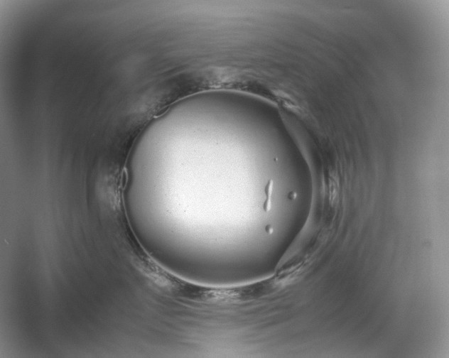 X0000054370719200508051555