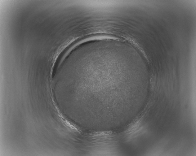 X0000054370721200508051554