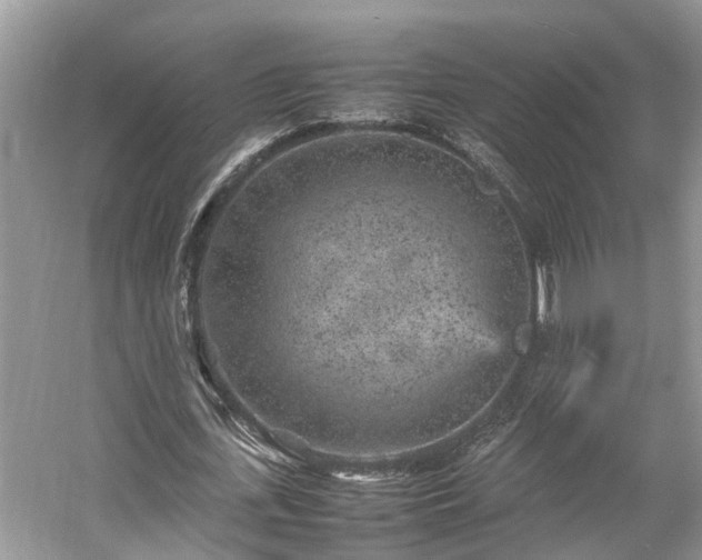 X0000054370723200508051554