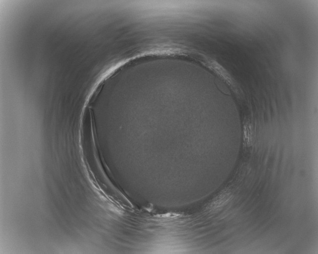 X0000054370724200508051554