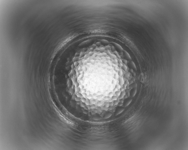 X0000054370725200508051554