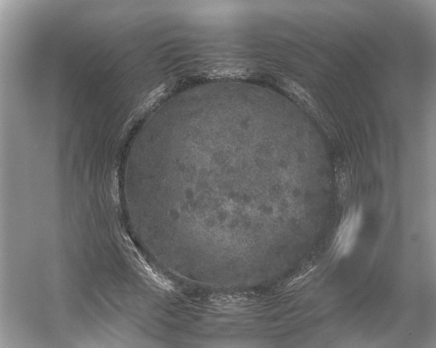 X0000054370729200508051554