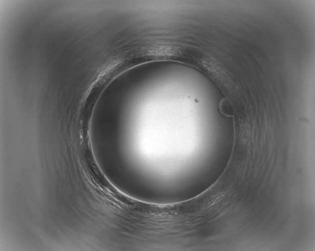 X0000054370731200508051554