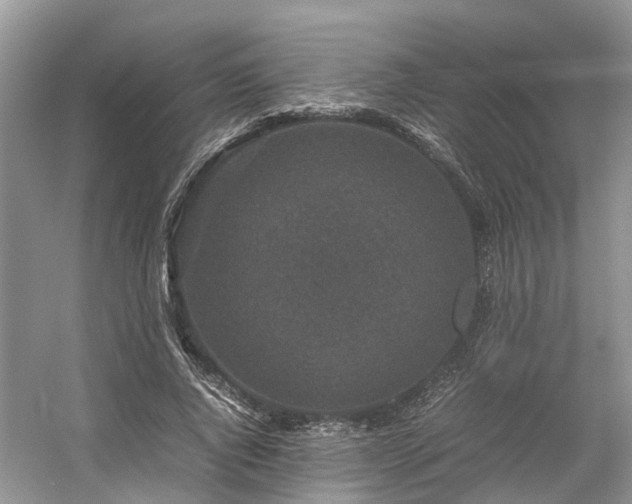 X0000054370736200508051554