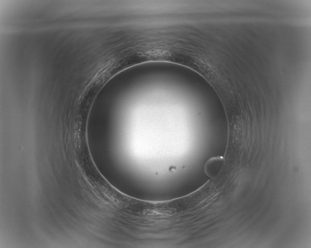 X0000054370739200508051554