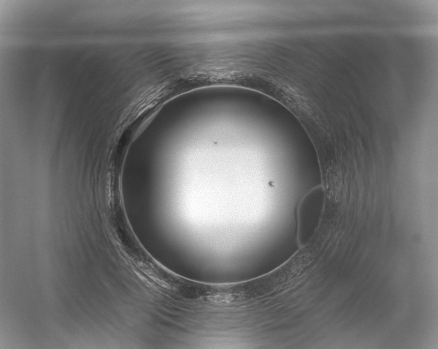 X0000054370740200508051554