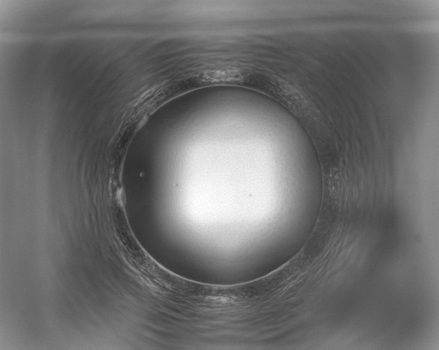 X0000054370741200508051554