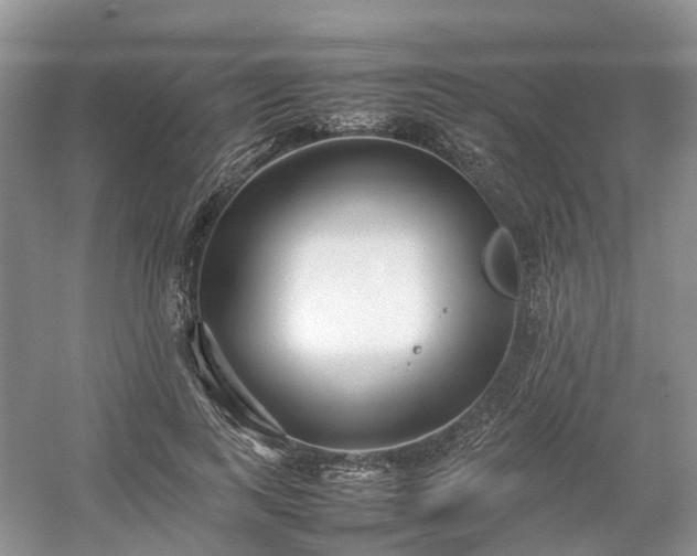 X0000054370743200508051554