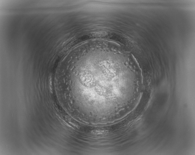 X0000054370745200508051554