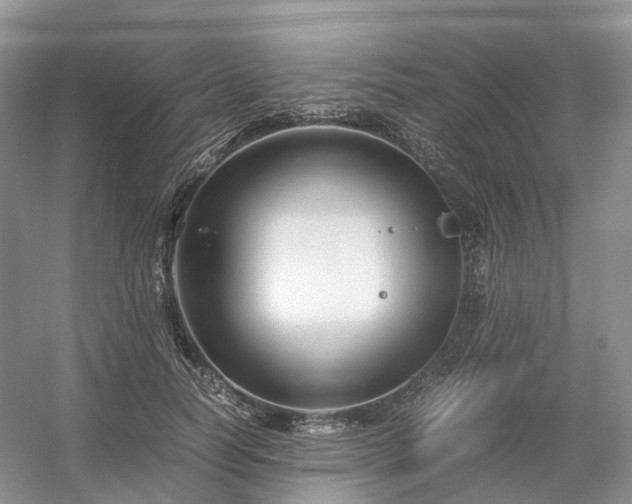 X0000054370746200508051554